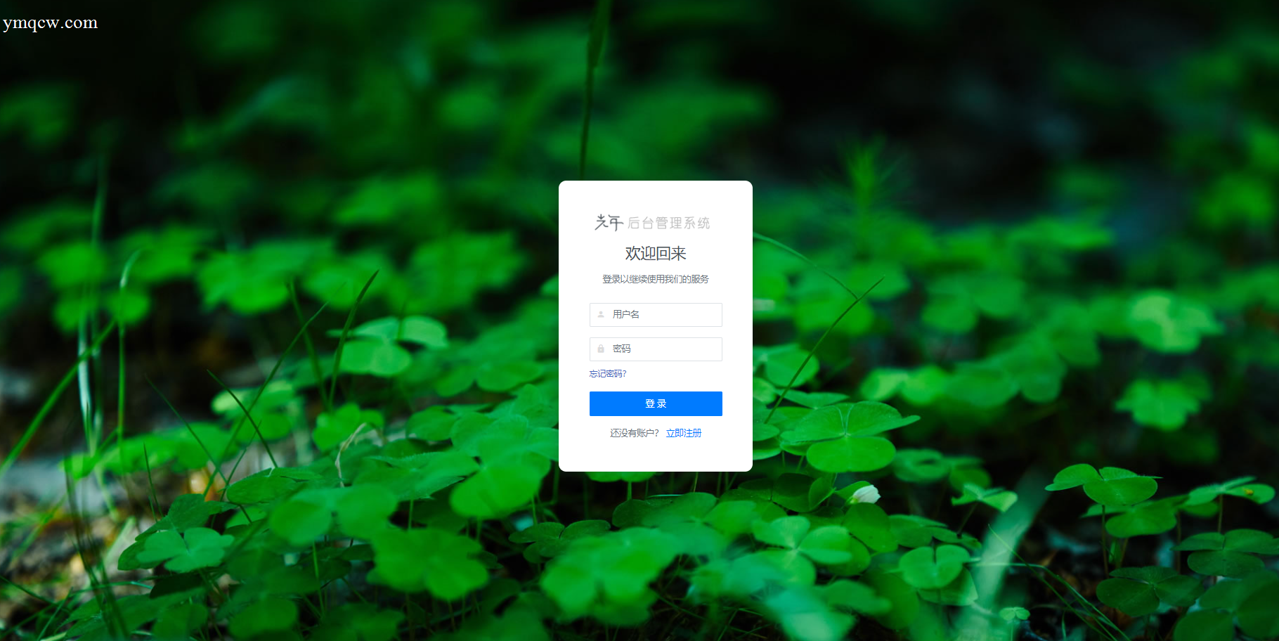 二开版API管理系统全开源发布