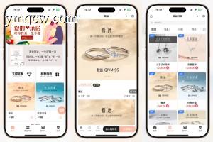 DR模式戒指身份证绑定系统-Yii2+Vue独家源码首发