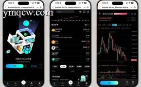 【最新K线修复】MyOkex海外交易所全功能开源源码（多语言版）